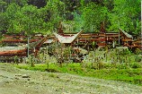 Preparation funeral ceremony in Toraja