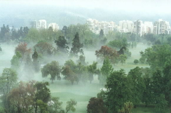 misty view of the golf course