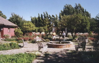 in the courtyard garden