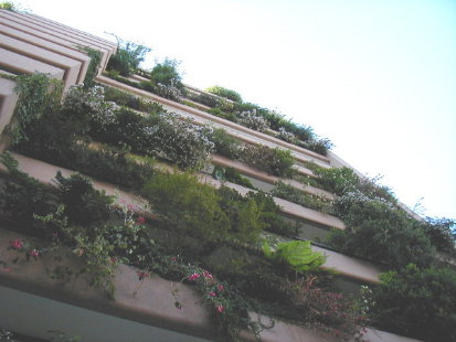 looking up at our new apartment building