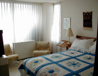 guest room with Dresden Plate quilt