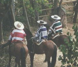 3 Chilean riders