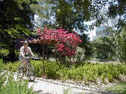 Margy in the sculpture garden