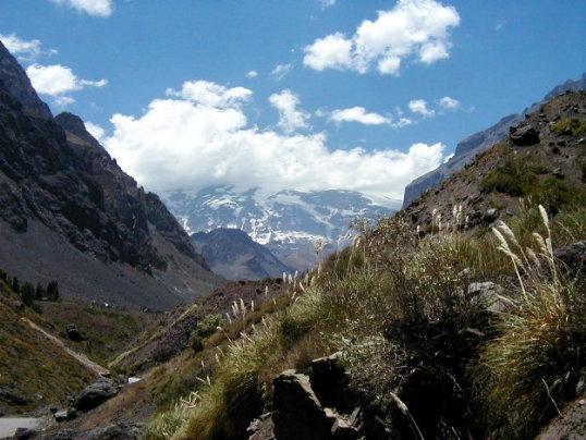 Summertime in Maipo Valley