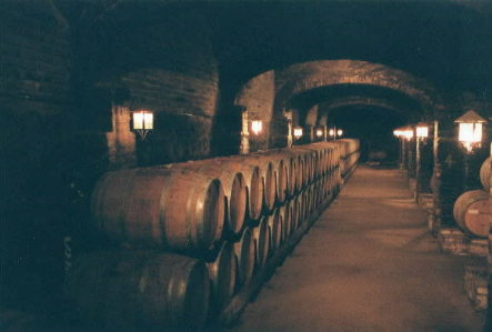 wine aging in barrels in the cool cellar