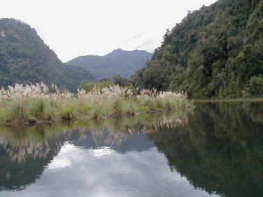 peaceful water on our side trip