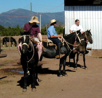 ready for a horseback ride