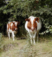 curious onlookers checking out us crazy photographers