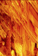 Jenolan Caves