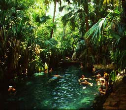 Mataranka Thermal Pool