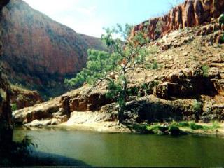 Alice Springs Desert Park Botanical Gardens