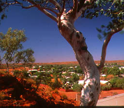 Tennant Creek