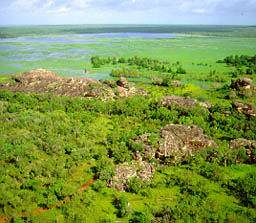 View over the wetland from Ubirr