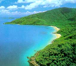 Cow Bay, Cape Tribulation National Park