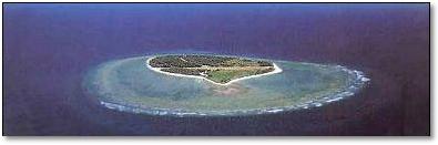 Lady Elliot Island