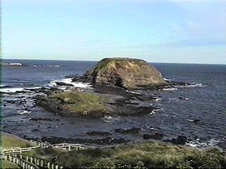 Seal Rocks and The Nobbies