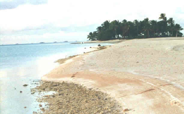 Sand beach on a Makemo Motu  (18864 bytes)