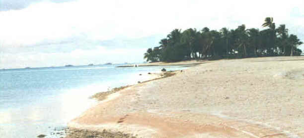 Makemo motu, Tuamotus, French Polynesia