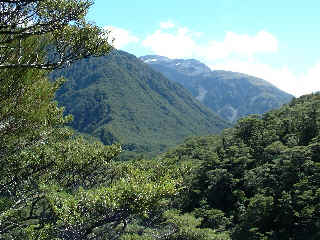 Snowy peak at Arthurs Pass (16446 bytes)