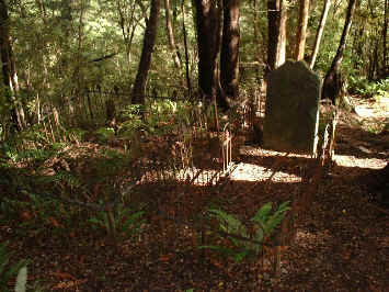 Lyell cemetary  (19682 bytes)