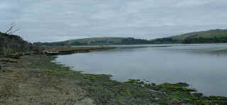 Catlins estuary (5317 bytes)