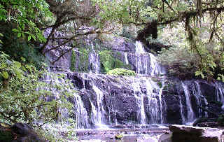 nz_catlins_purakaunui_falls.jpg (18867 bytes)