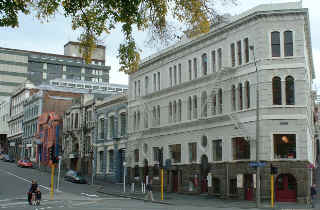 Dunedin street view (13105 bytes)