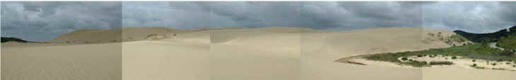 nz_dunes_view.jpg (16947 bytes)