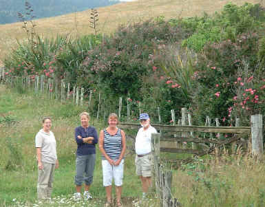 Flower fence and friends