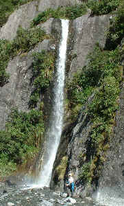 waterfall at Franz Josef glacier (13114 bytes)