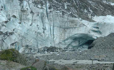 Terminal face, Fox glacier  (14431 bytes)