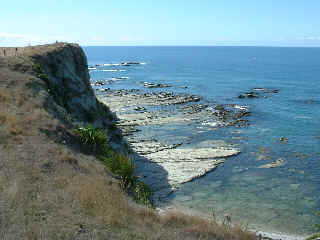 View from Kaikoura cliffs (10424 bytes)