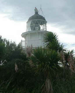 nz_katiki_lighthouse.jpg (8359 bytes)