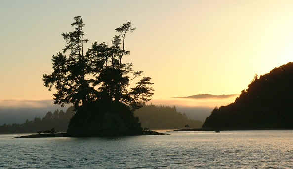 NZ plum pudding island