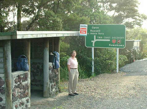 NZ Opua bus stop