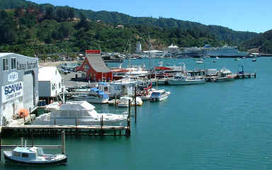 Picton harbour  (14248 bytes)