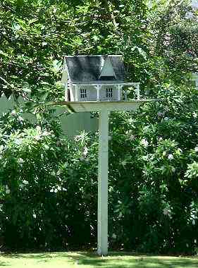 NZ Russell Police Cottage Bird House