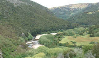 Taieri gorge view (8680 bytes)