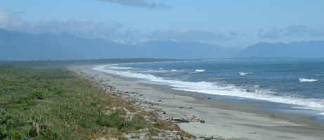 A Westcoast NZ beach