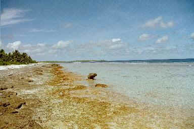 Raroia reef, Tuamotus, French Polynesia