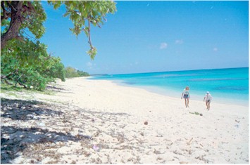 Paula and cruising friend Cyn on a Foa, Tonga beach (29306 bytes)