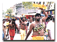 Kavadi4.gif (15694 bytes)