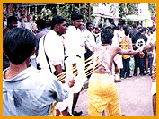 ThaipuMain1.gif (13245 bytes)