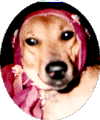 dog6.GIF (8927 bytes)