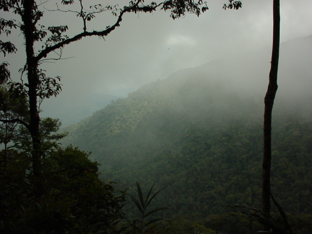 Misty mountain hop.