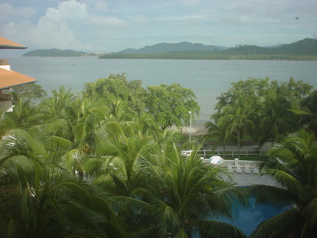 Lumut