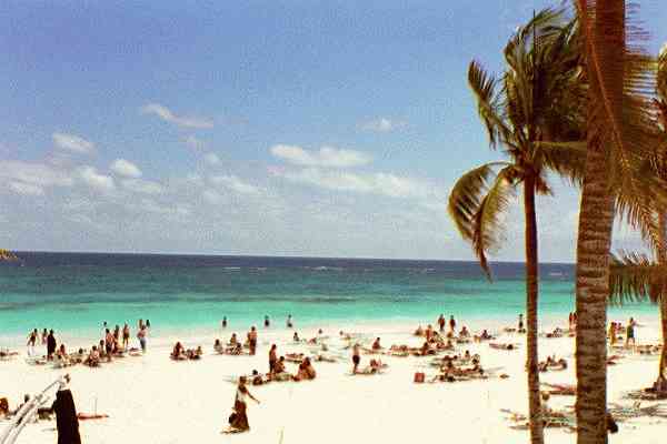 Beach on the hotel grounds