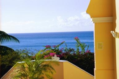 View of Ocean from the Oasis