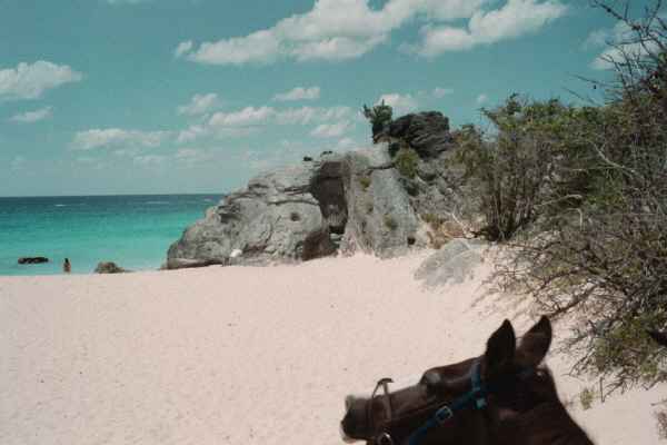 picture of view while riding on the beach