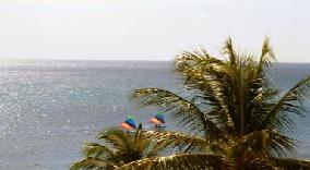 sailboats near the beach